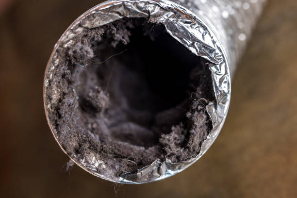 Best Professional Duct Cleaning Services  in De Soto, IA